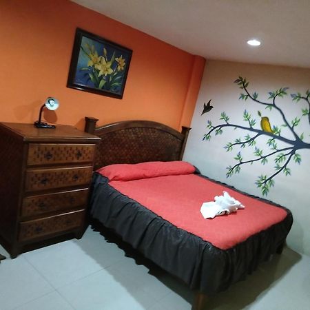 Hotel Amayal San Cristóbal de Las Casas エクステリア 写真