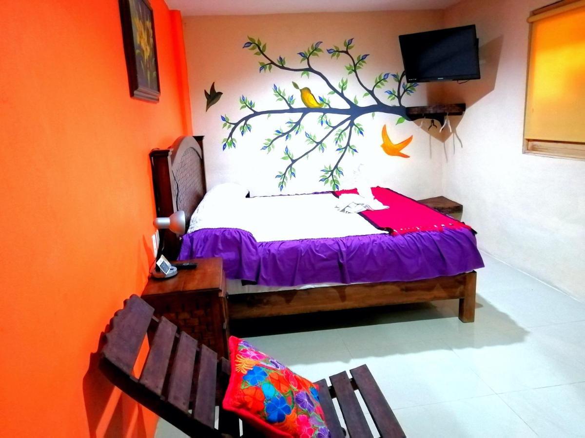 Hotel Amayal San Cristóbal de Las Casas エクステリア 写真