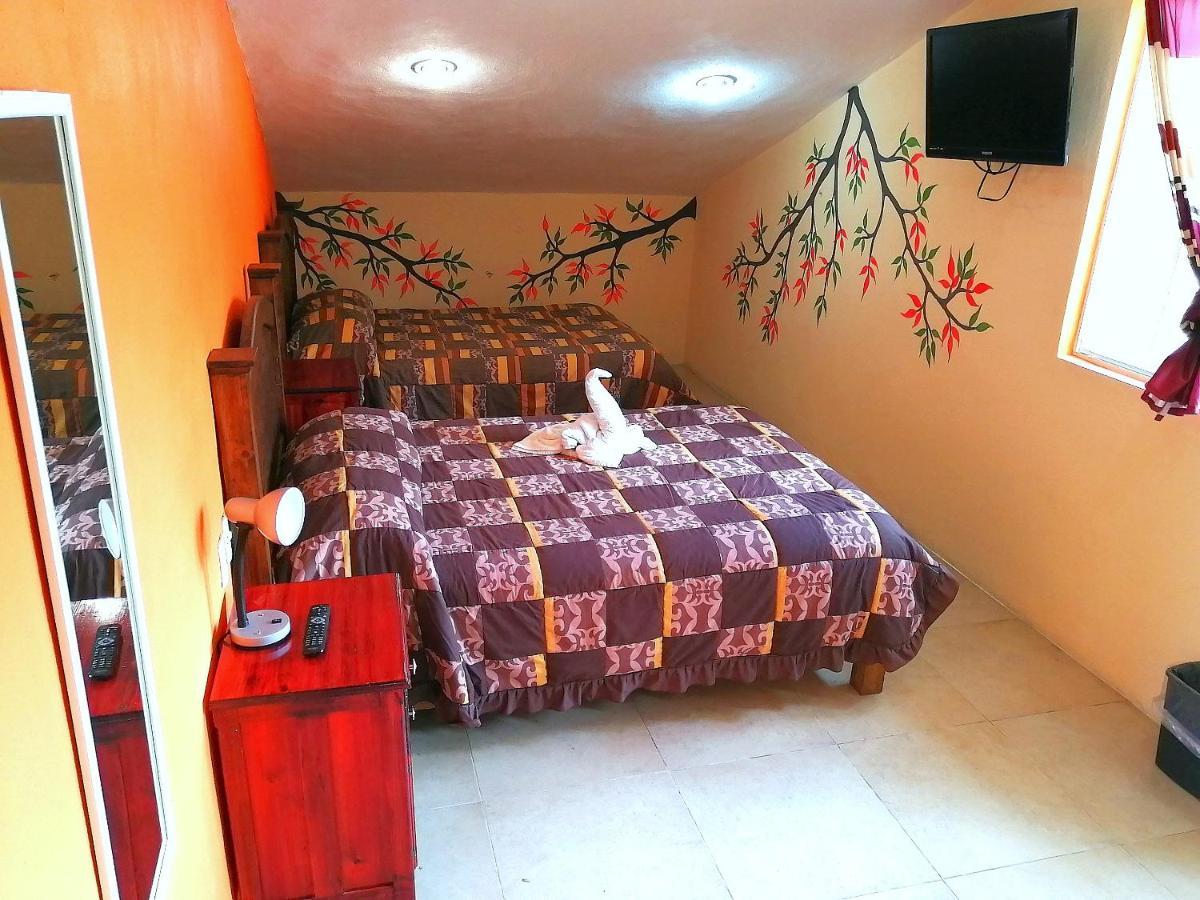 Hotel Amayal San Cristóbal de Las Casas エクステリア 写真
