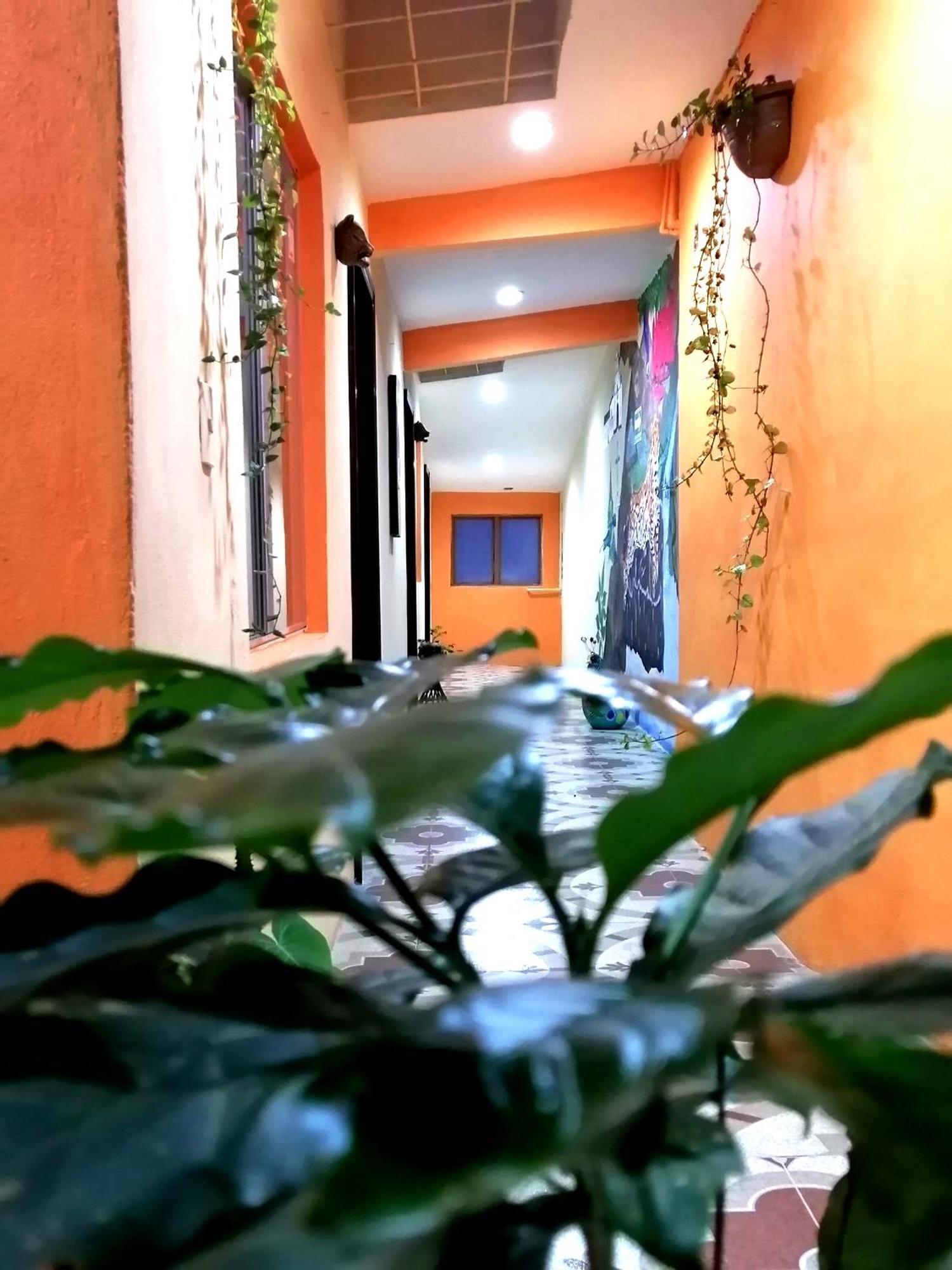 Hotel Amayal San Cristóbal de Las Casas エクステリア 写真