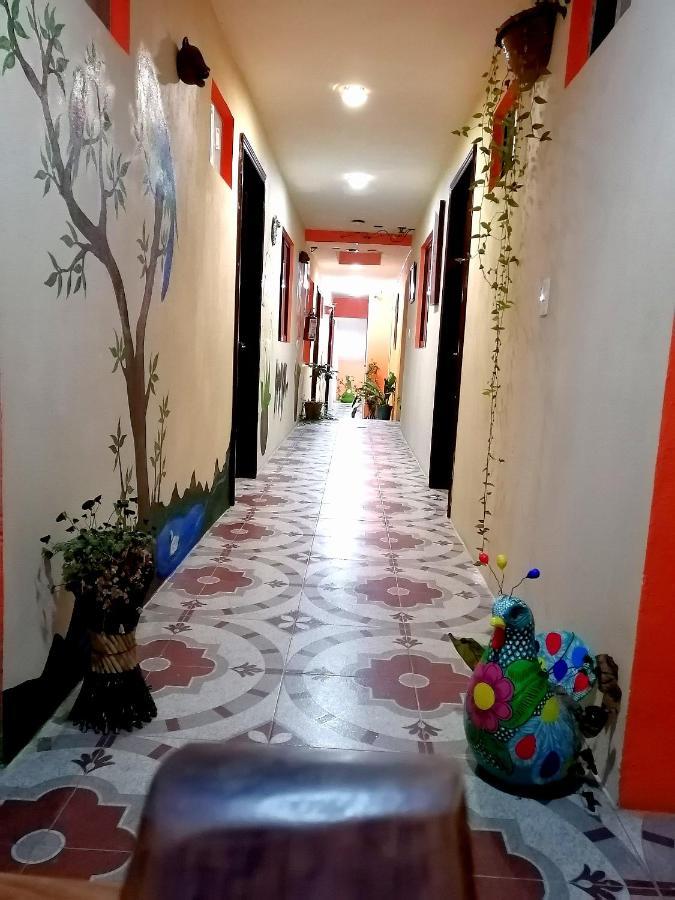 Hotel Amayal San Cristóbal de Las Casas エクステリア 写真
