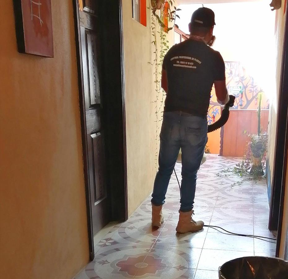Hotel Amayal San Cristóbal de Las Casas エクステリア 写真