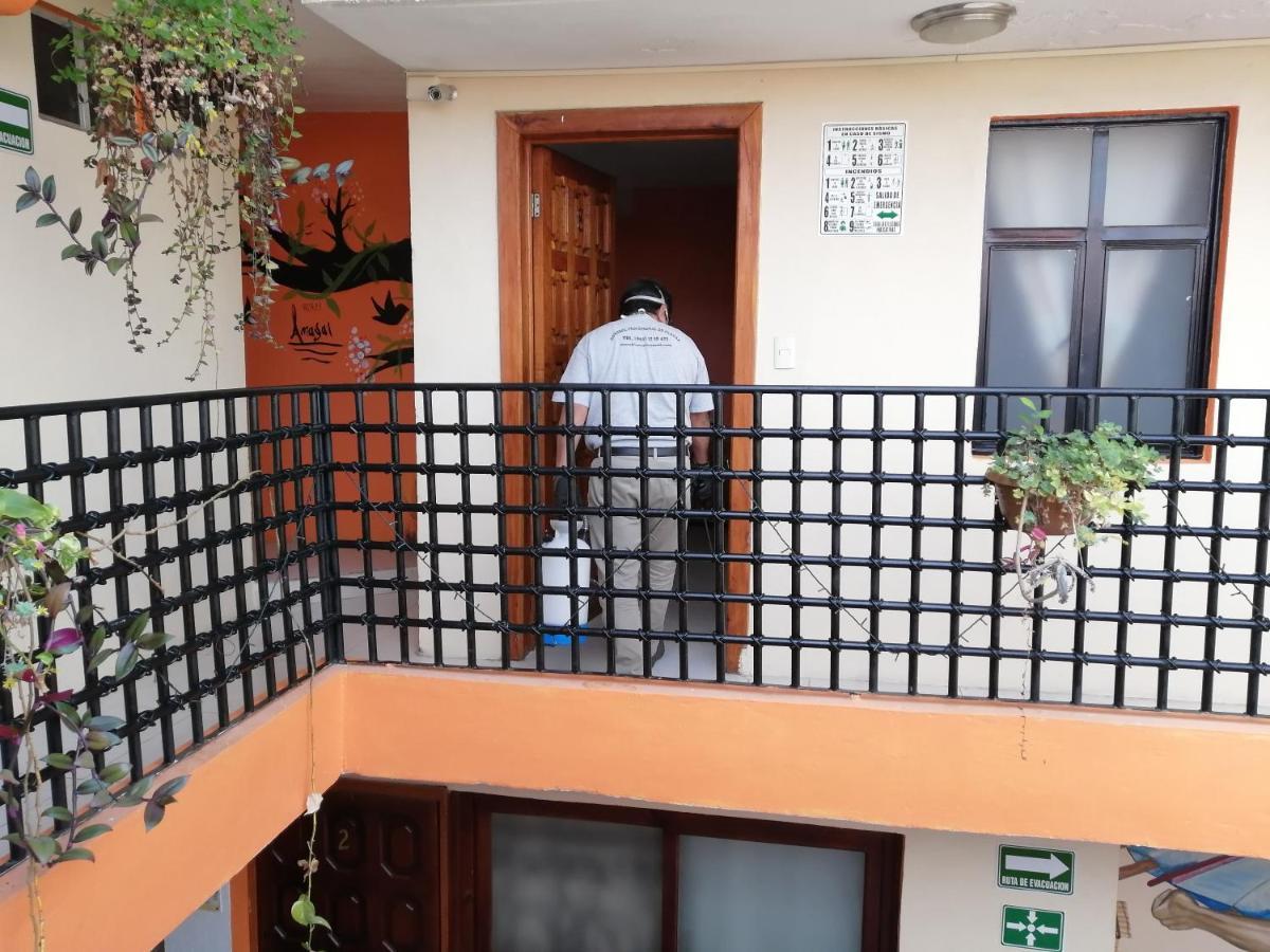Hotel Amayal San Cristóbal de Las Casas エクステリア 写真