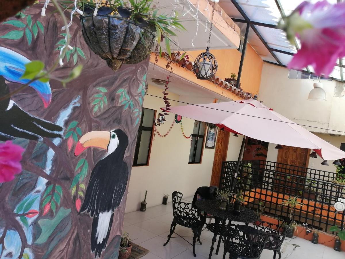 Hotel Amayal San Cristóbal de Las Casas エクステリア 写真