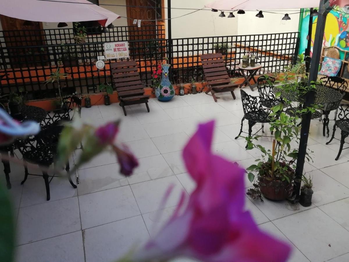 Hotel Amayal San Cristóbal de Las Casas エクステリア 写真