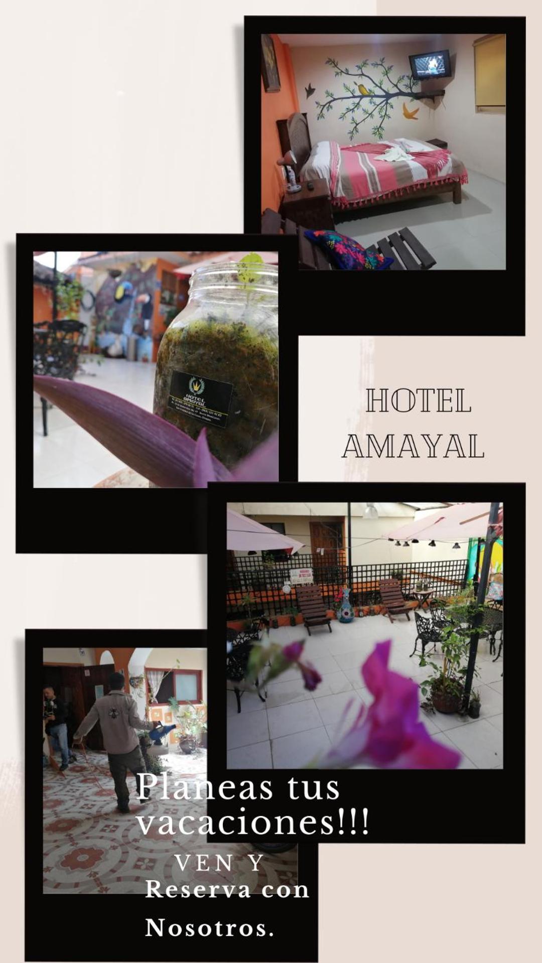 Hotel Amayal San Cristóbal de Las Casas エクステリア 写真