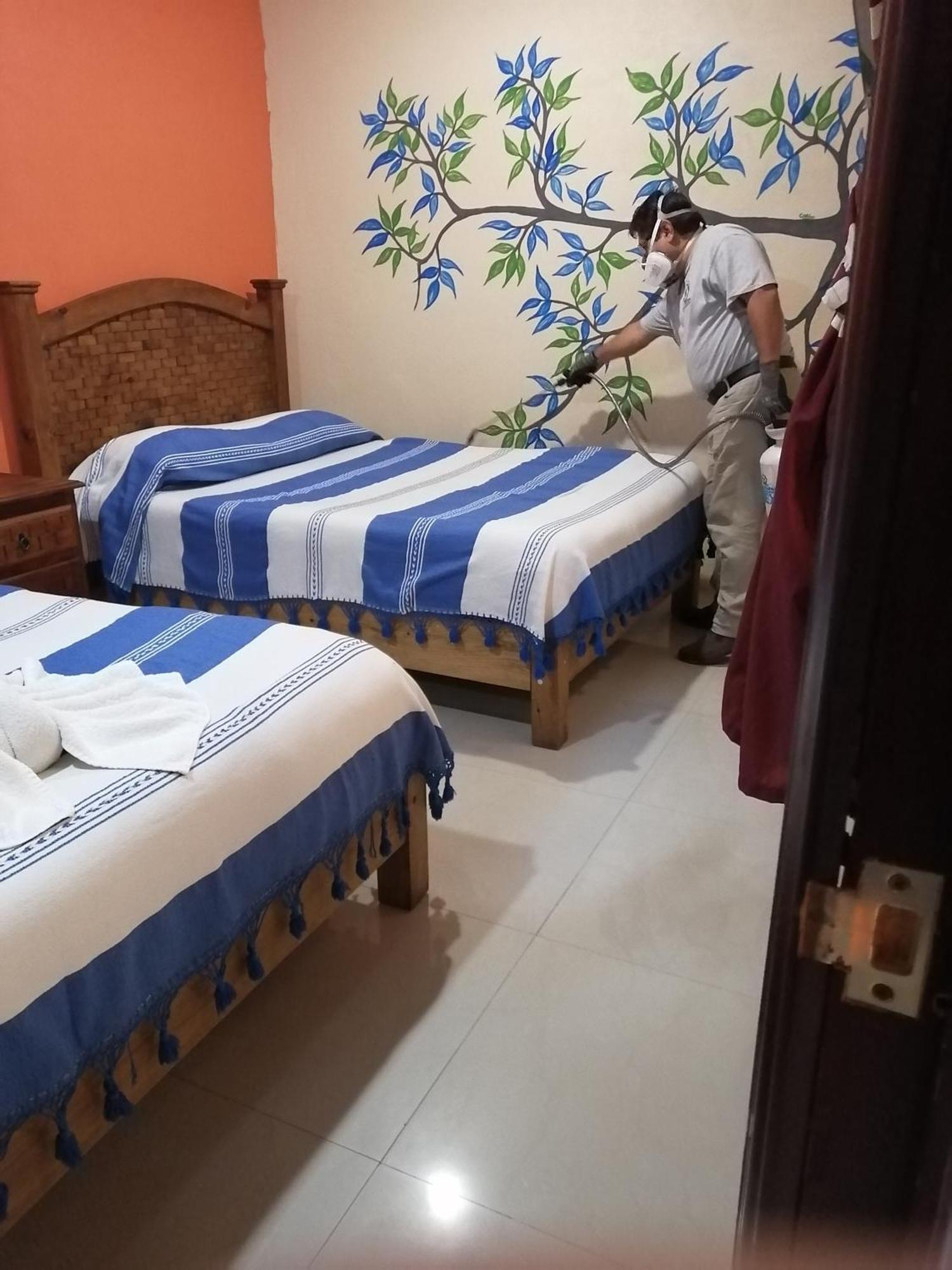 Hotel Amayal San Cristóbal de Las Casas 部屋 写真